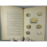 Maynard's Eggs of North American Birds with beautiful hand colored plates